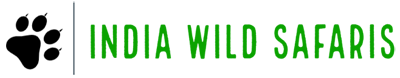 India Wild Safaris-1 (1)